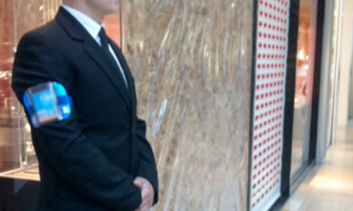 Retail Security Guarding Solutions